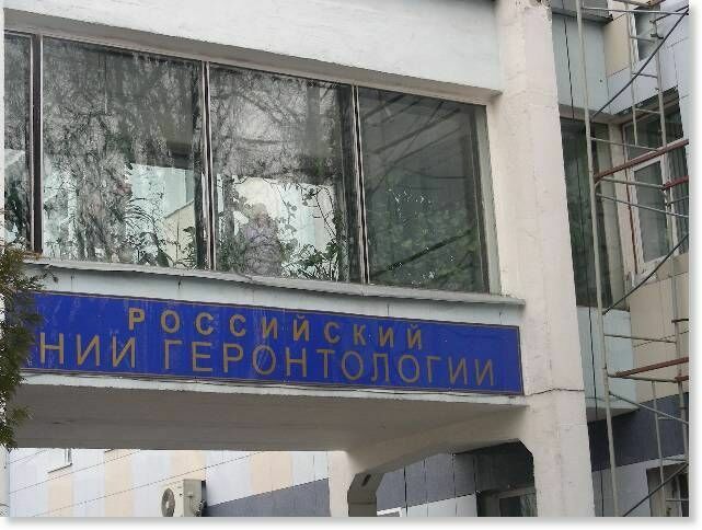 В Москве медсестры подрались из-за тоста о смерти командира ДНР Гиви