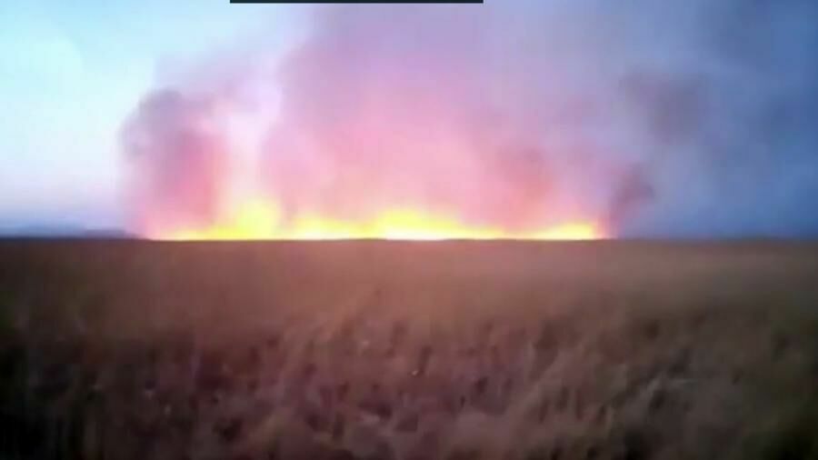"Это поджог": в Приморье сгорело четыре тысячи гектаров природного парка "Хасанский"