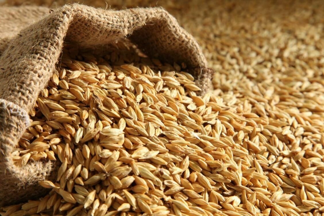 Из Херсонской области начался экспорт зерна в Россию