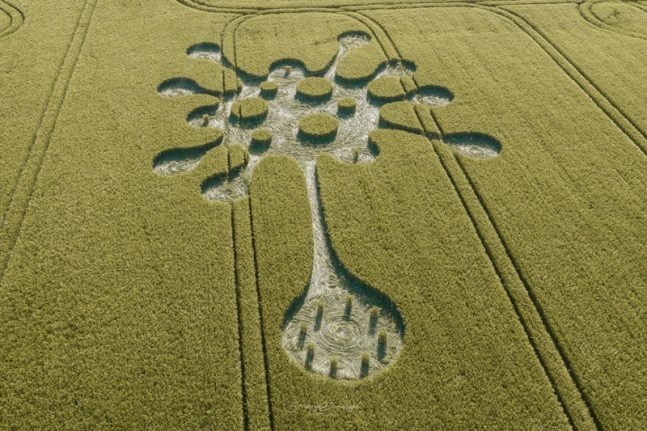 В середине пандемического 2020 года в одном из регионов Великобритании Люси Прингл обнаружила "рисунок" на полях, похожий на молекулу ковида. 