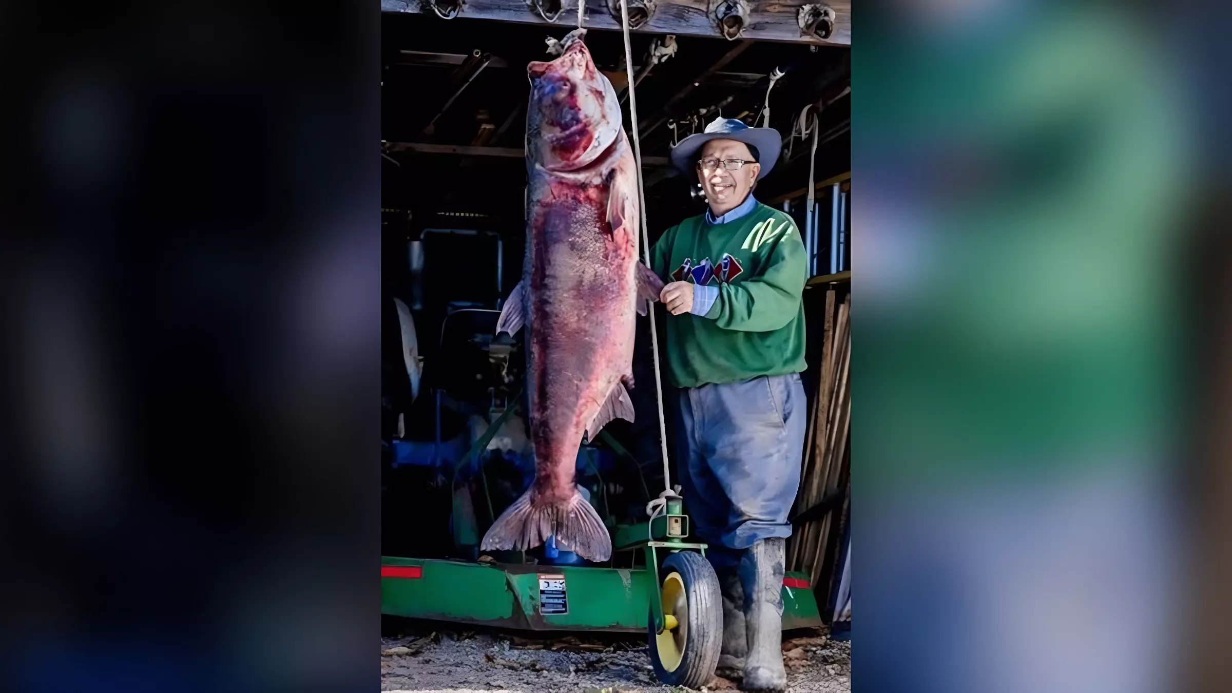 «Вот это рыбина»: американец побил мировой рекорд, поймав на удочку гигантского карпа