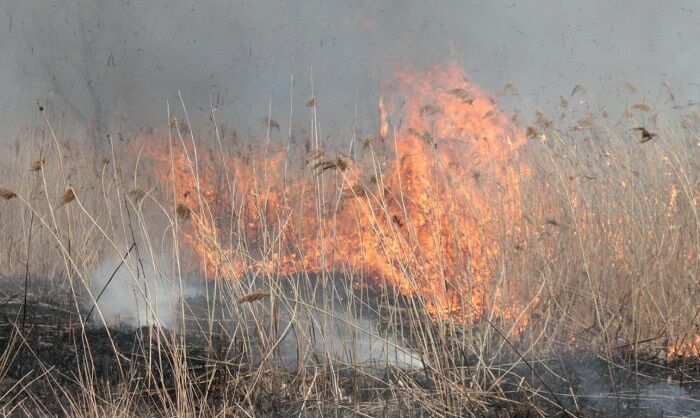 Пожары уничтожили десятки домов в селах Кузбасса