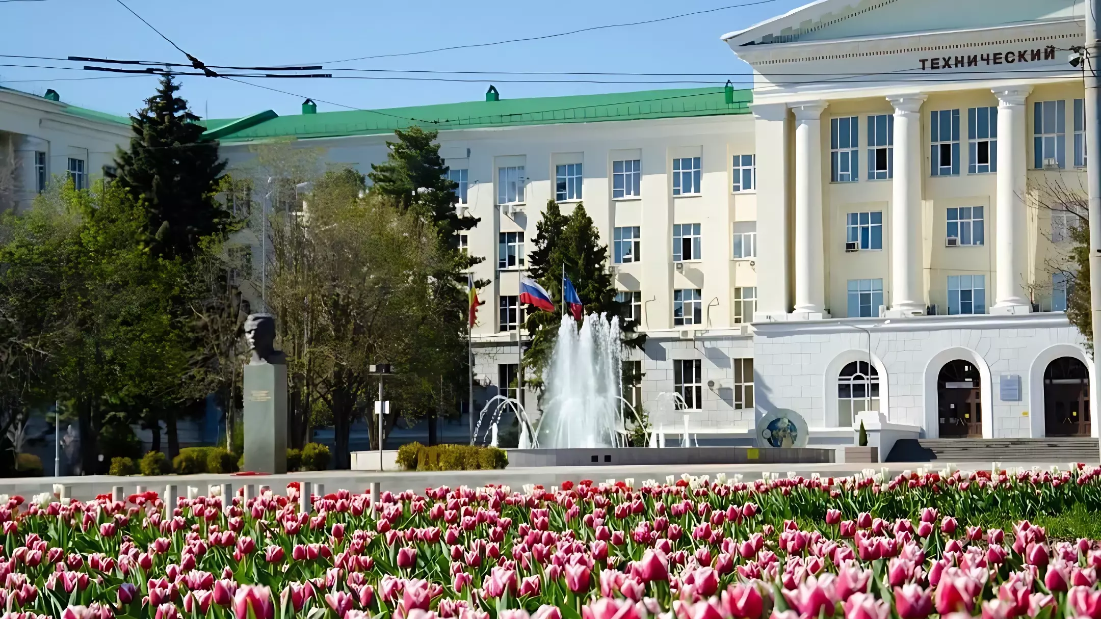 В Ростове-на-Дону высадят более 1 миллиона тюльпанов в рамках осеннего озеленения