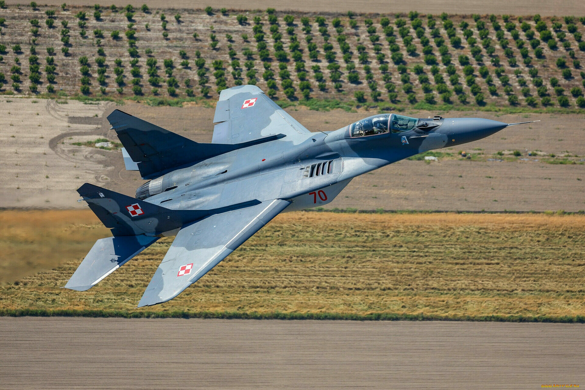МиГ-29 ВВС Польши