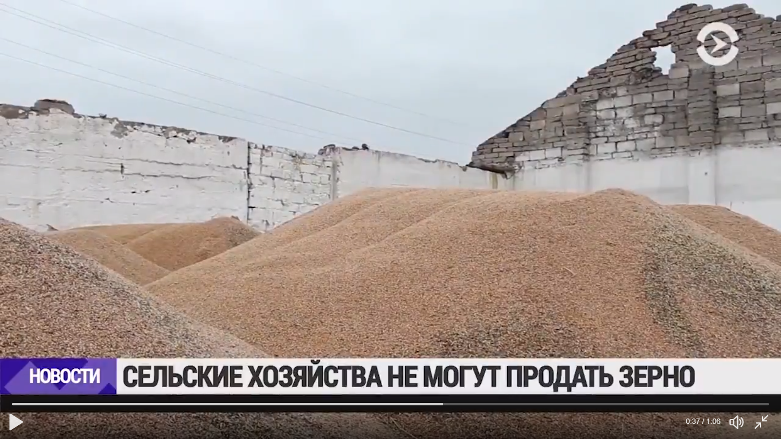 У новосибирских фермеров гниёт непроданное зерно