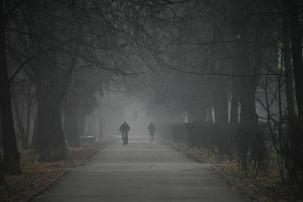 Москвичи пожаловались на «химозность» тумана