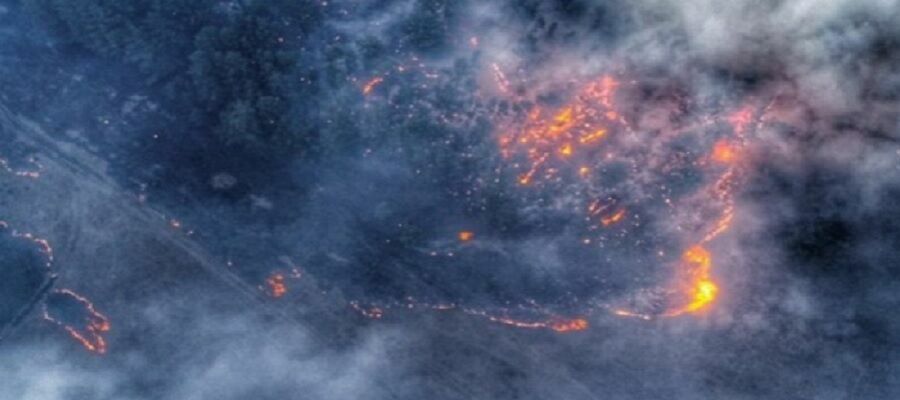 Пожары в Сибири за сутки охватили еще  31 тыс. гектаров