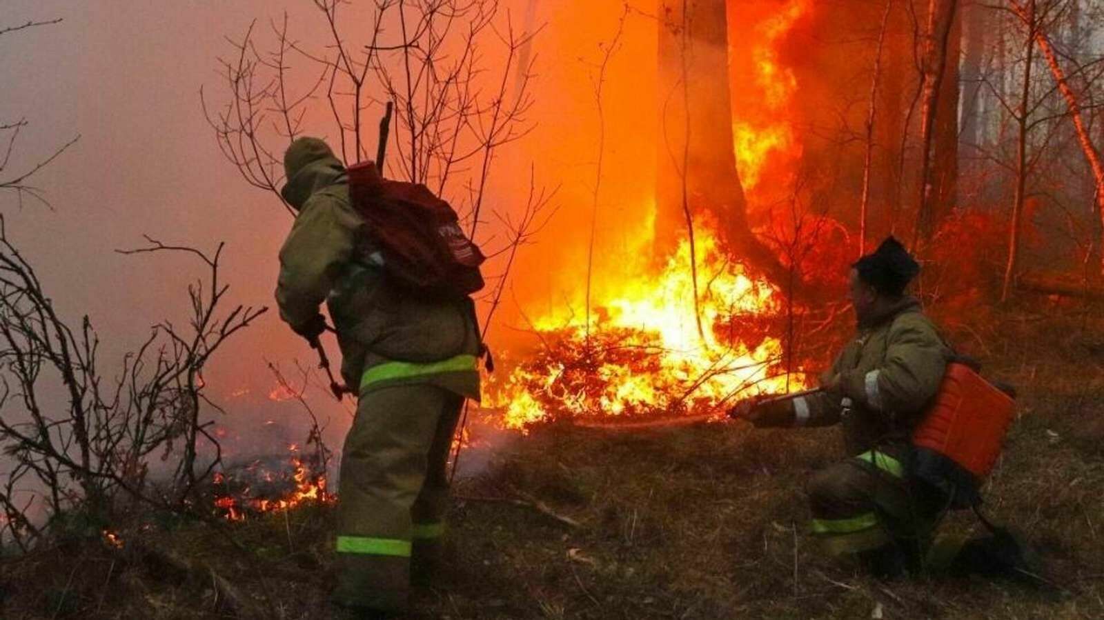 В Хабаровском крае и Якутии объявили ЧС федерального значения из-за пожаров