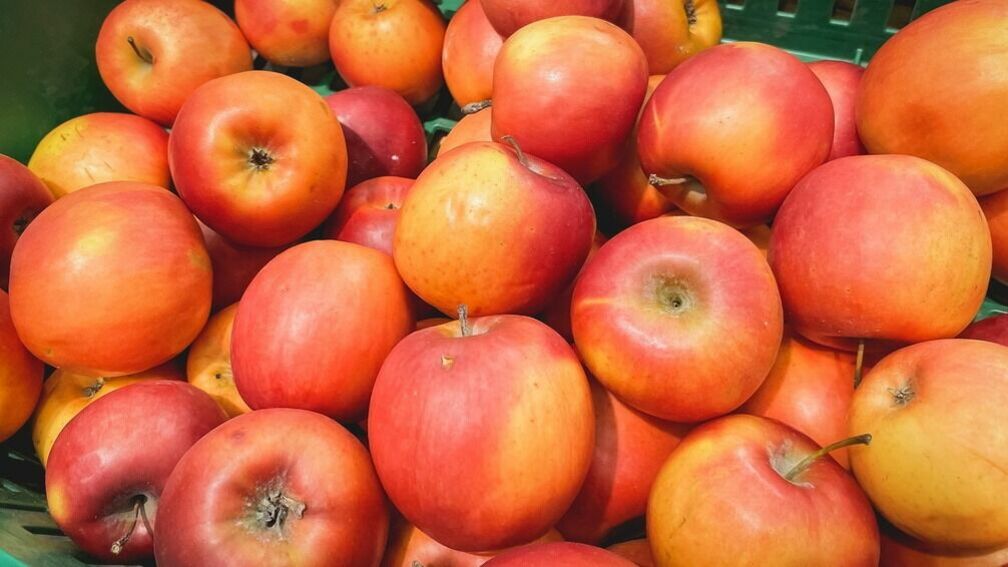 Польские садоводы пожаловались на обвал рынка яблок из-за антироссийских санкций