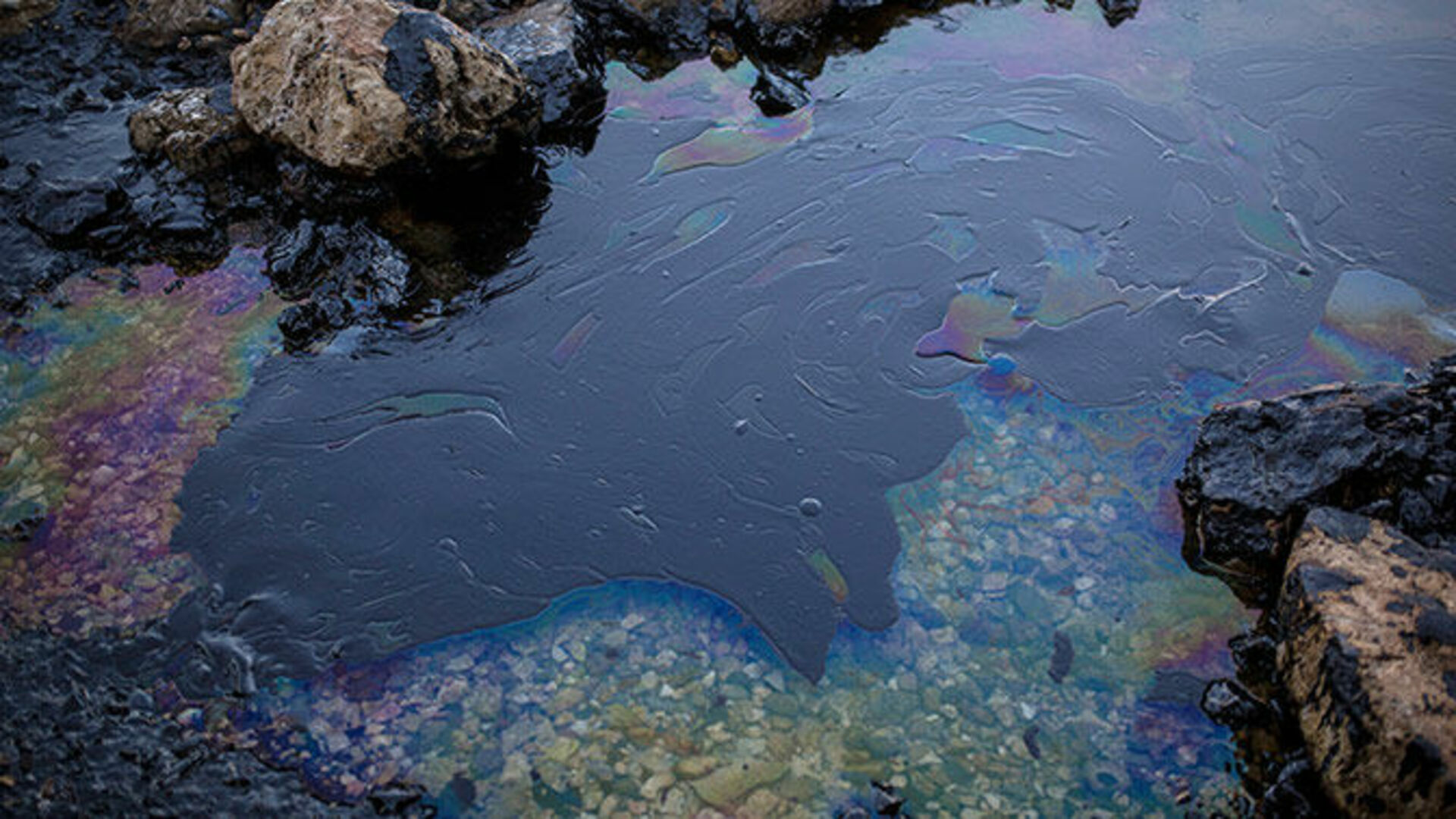 В небольшом водоеме образовавшемся после разлива реки. Нефтяное загрязнение мирового океана. Загрязнение водоемов нефтепродуктами. Загрязнение гидросферы нефтепродуктами. Нефть в воде.