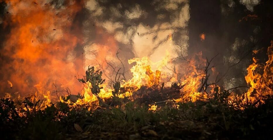 В Забайкальском крае вновь загорелись леса