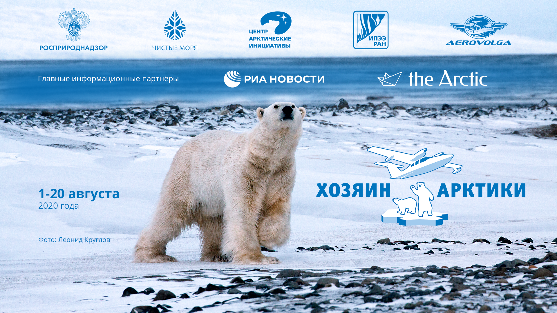 Спасти белых медведей. В августе стартует уникальный проект «Хозяин Арктики»