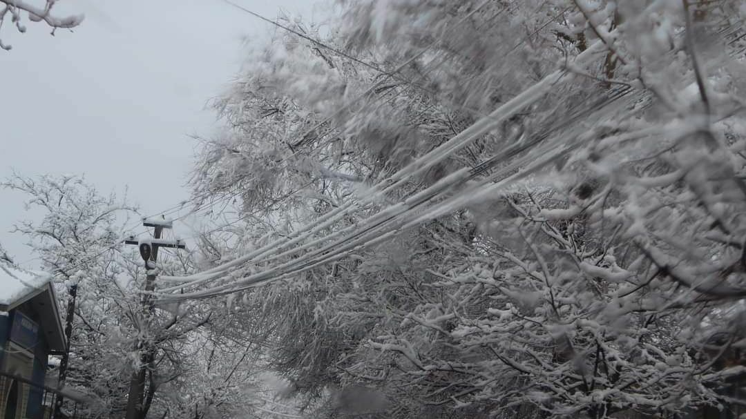 Более 45 тысяч жителей Дагестана остались без света из-за снегопада