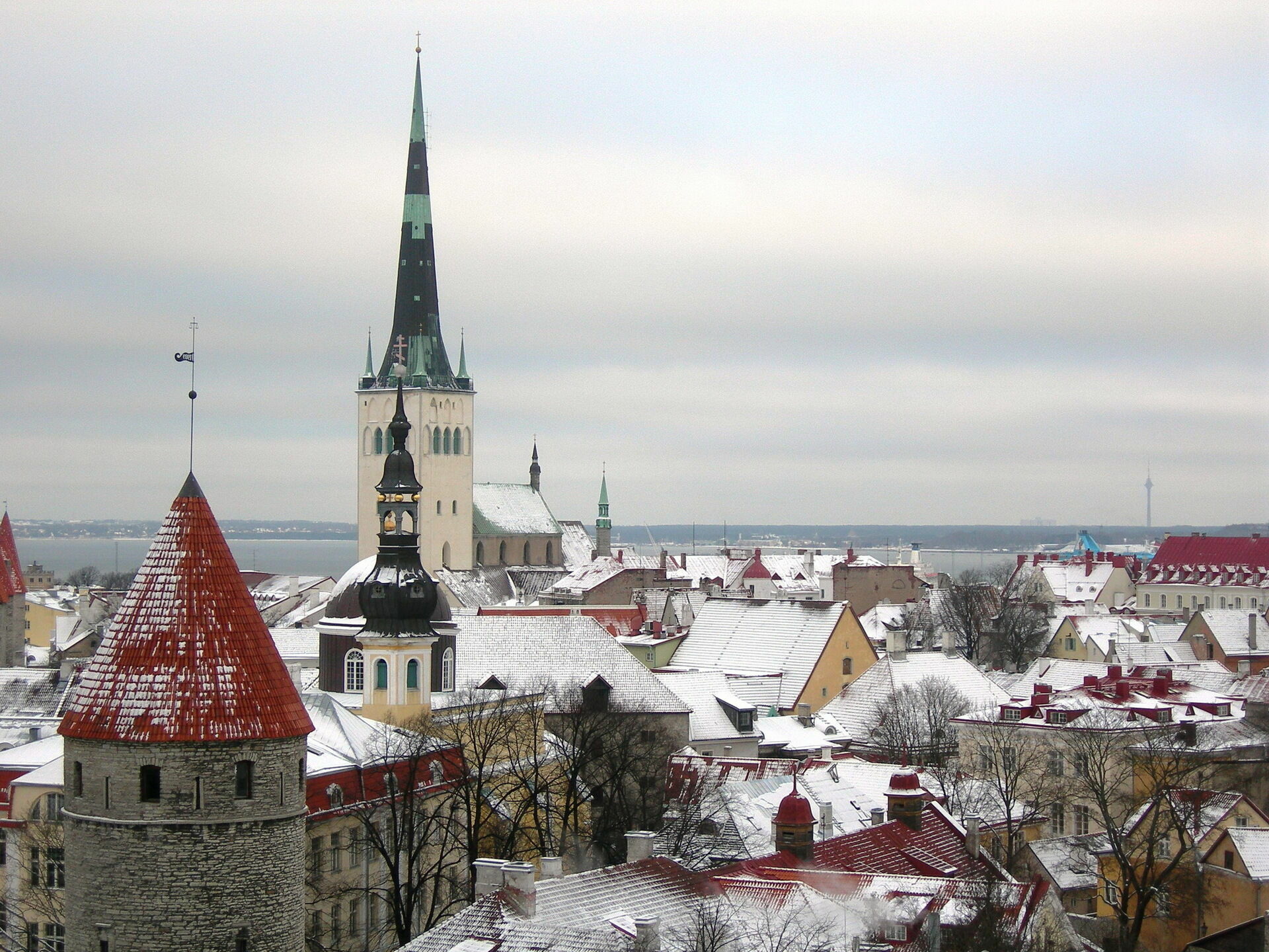 Эстония упростила получение гражданства детям неграждан