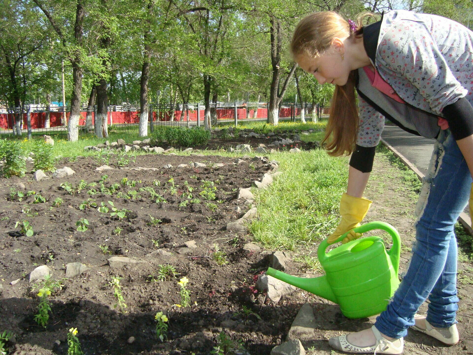 В Чувашии собираются развивать пришкольные огороды