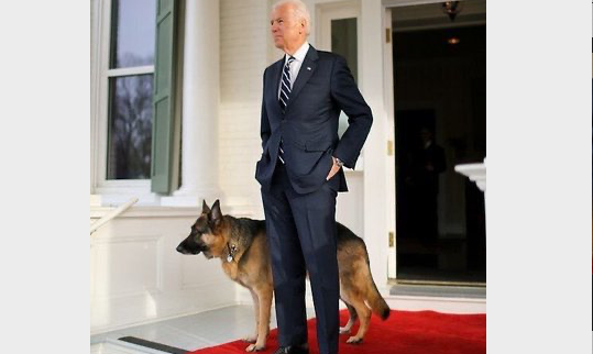 Избранный президент Джо Байден с собакой