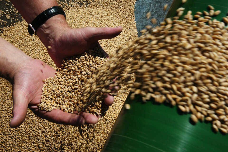 Страны ЕС просят Еврокомиссию упростить экспорт российского зерна и удобрений
