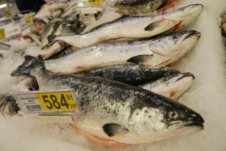 В ходе «Рыбной недели» москвичам предложат 1,5 тыс. тонн рыбы