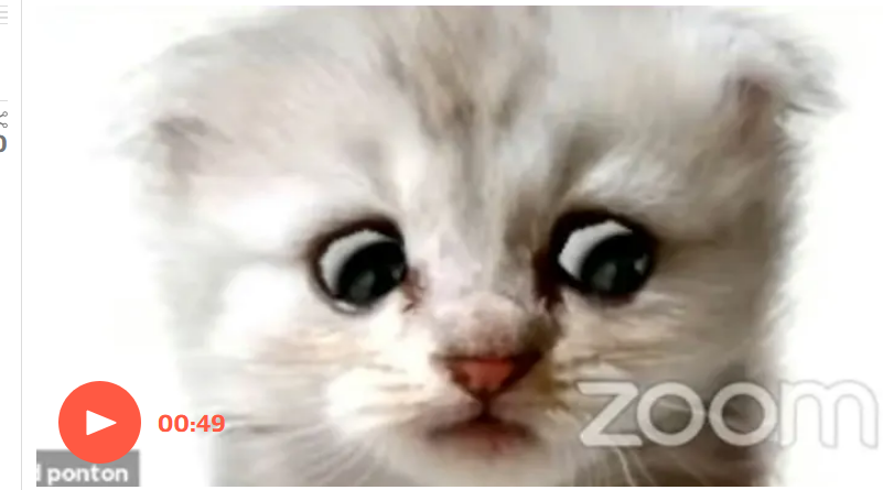 «Это я. Я не кот»: адвокат провел судебные слушания в Zoom в кошачьей маске