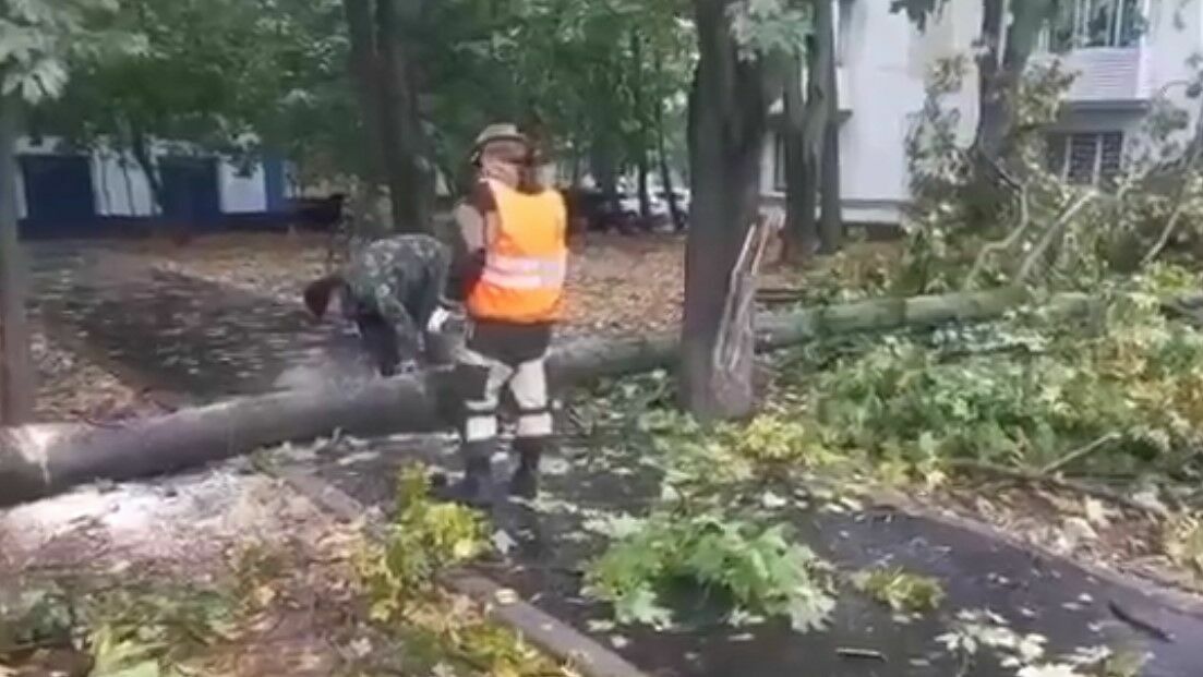 В Москве шквалистый ветер повалил деревья (ВИДЕО)