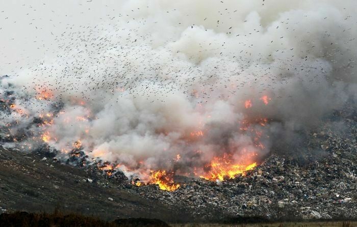 СПЧ обратился в прокуратуру после жалоб москвичей на горящий мусор