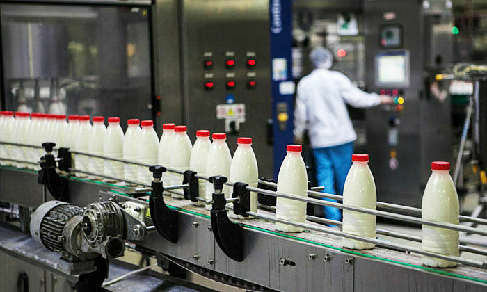 Россельхознадзор запретил поставки молочной продукции из Белоруссии