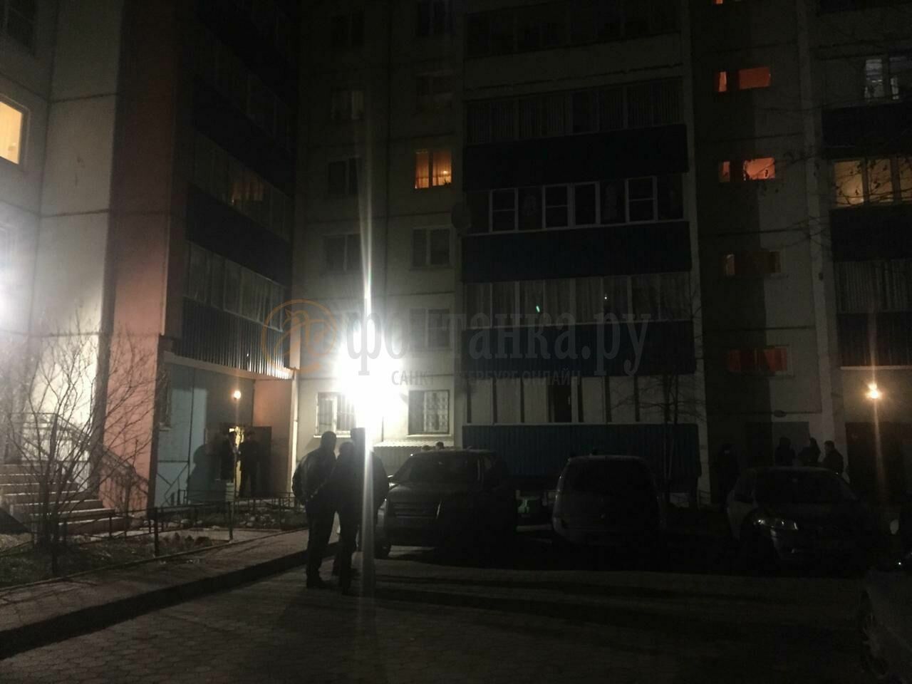СМИ: в Санкт-Петербурге сын судьи застрелил своего друга
