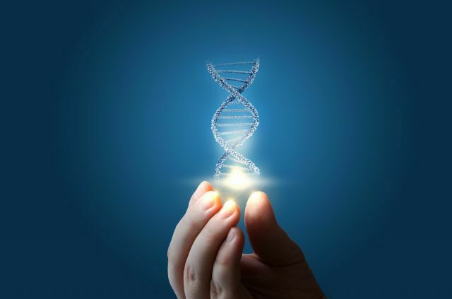 ДНК может заменить флешку: один ее грамм вмещает информацию всего мира за один день