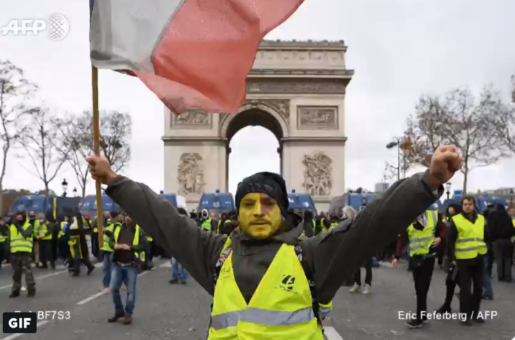 Власти Франции применили против демонстрантов спецсредства