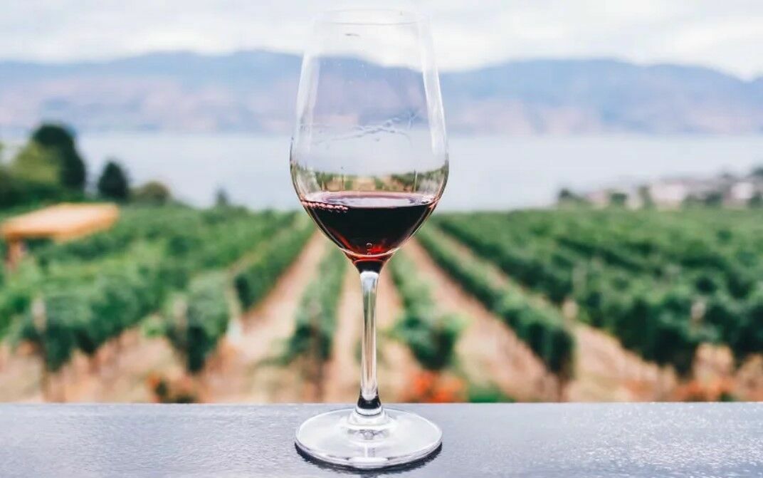 Виноделы предупредили о подорожании импортного вина до 20–25%