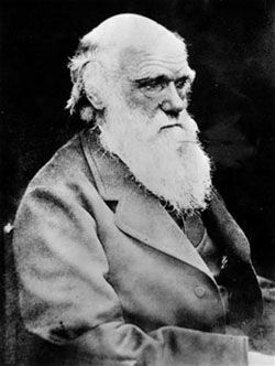 Редкая книга Дарвина стала «великим научным открытием», сделанным… в туалете