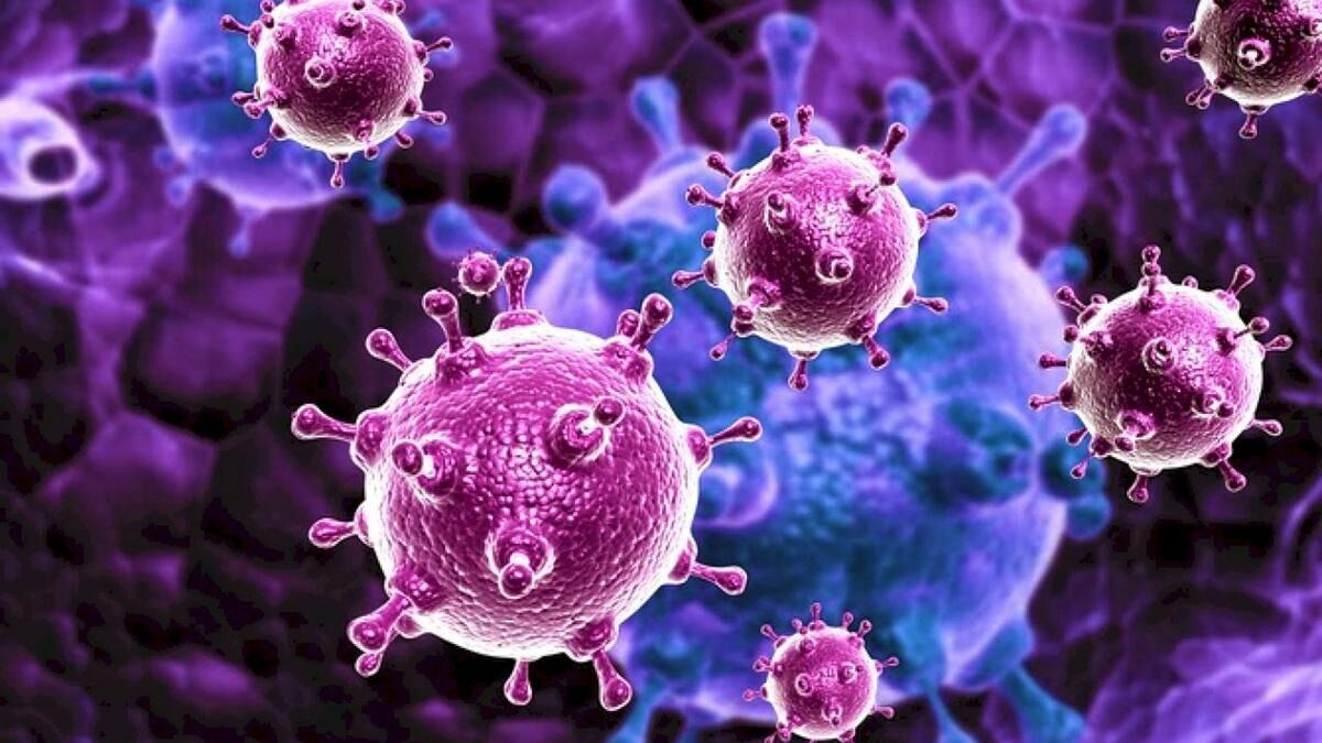 На смену коронавирусу: появились сообщения о вспышках новых видов инфекций