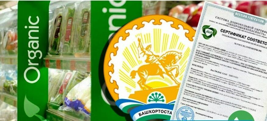 Фальсификат на витринах. Почему закон об органической еде так и не заработал в России