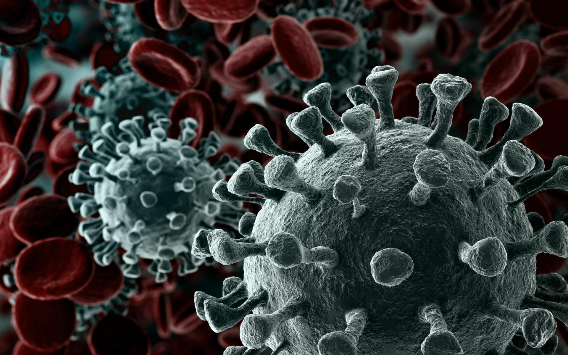Биолог: чем позже человек заболеет коронавирусом, тем лучше