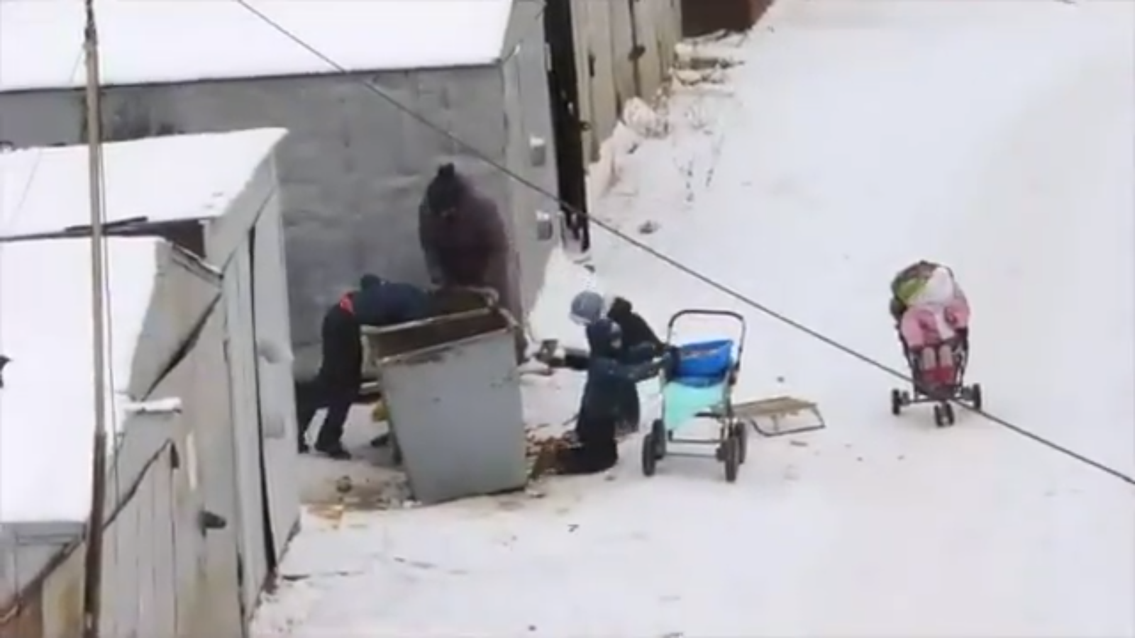 Видео дня: в Якутии мать с четырьмя детьми ищет еду в мусорных баках