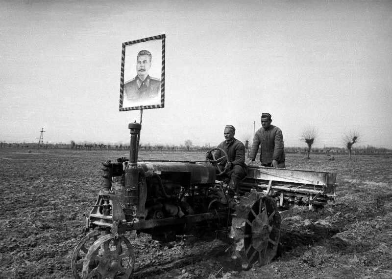 Хрущев не виноват: как в СССР душили крестьян налогами