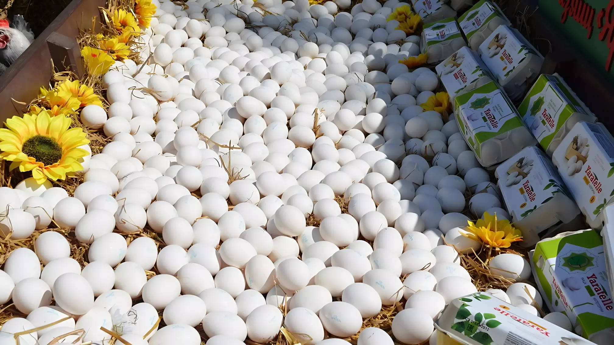 Золотые яйца: можно ли их покупать впрок и как правильно хранить такие запасы