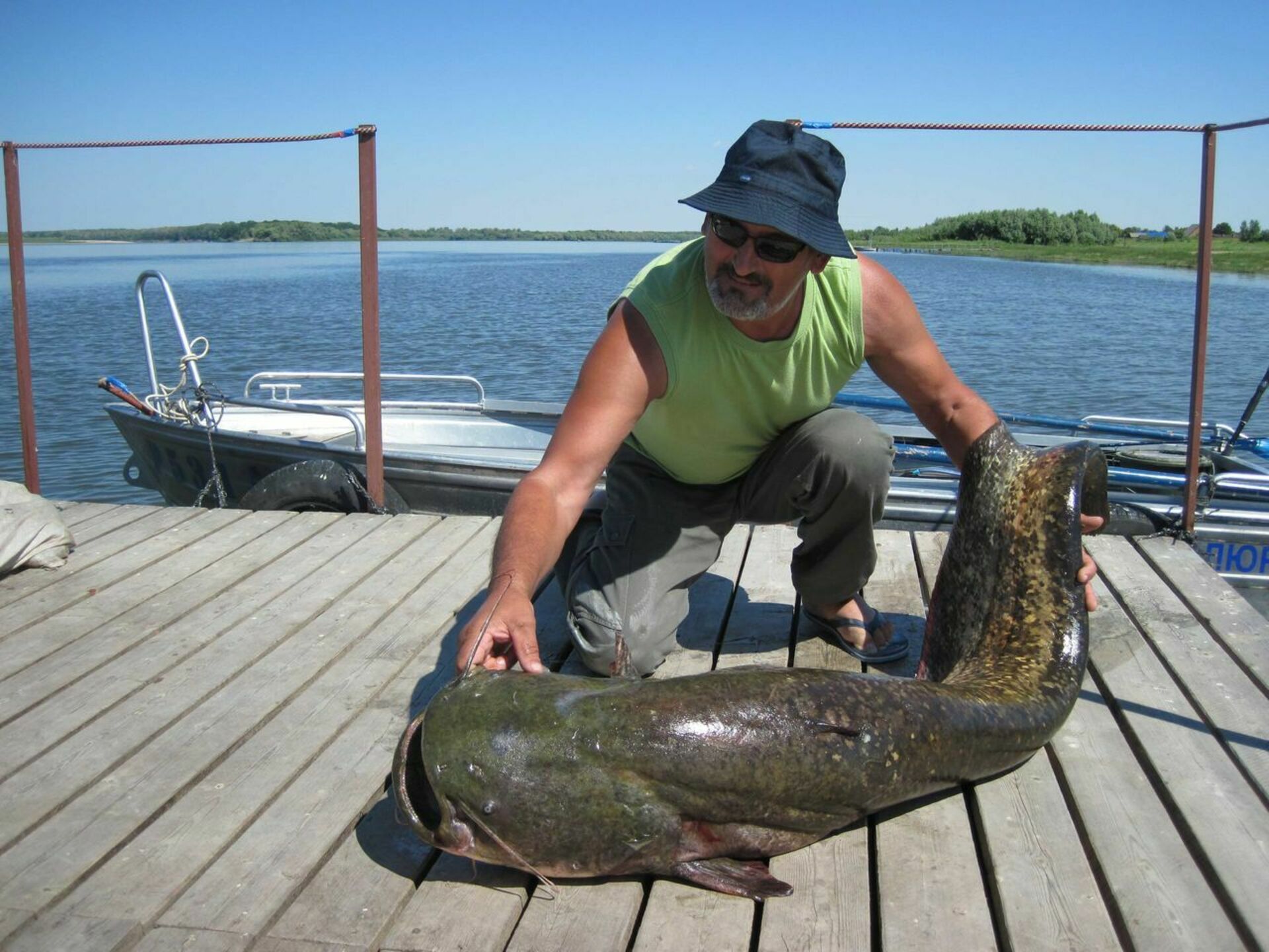 Рыбалка на волге сегодня. Рыба в реке Волга. Рыболовство на Волге. Рыба которая водится в Волге. Рыба нижней Волги.