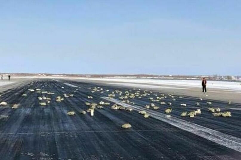 В Якутии грузовой самолёт Ан-12 при взлёте растерял десятки золотых слитков