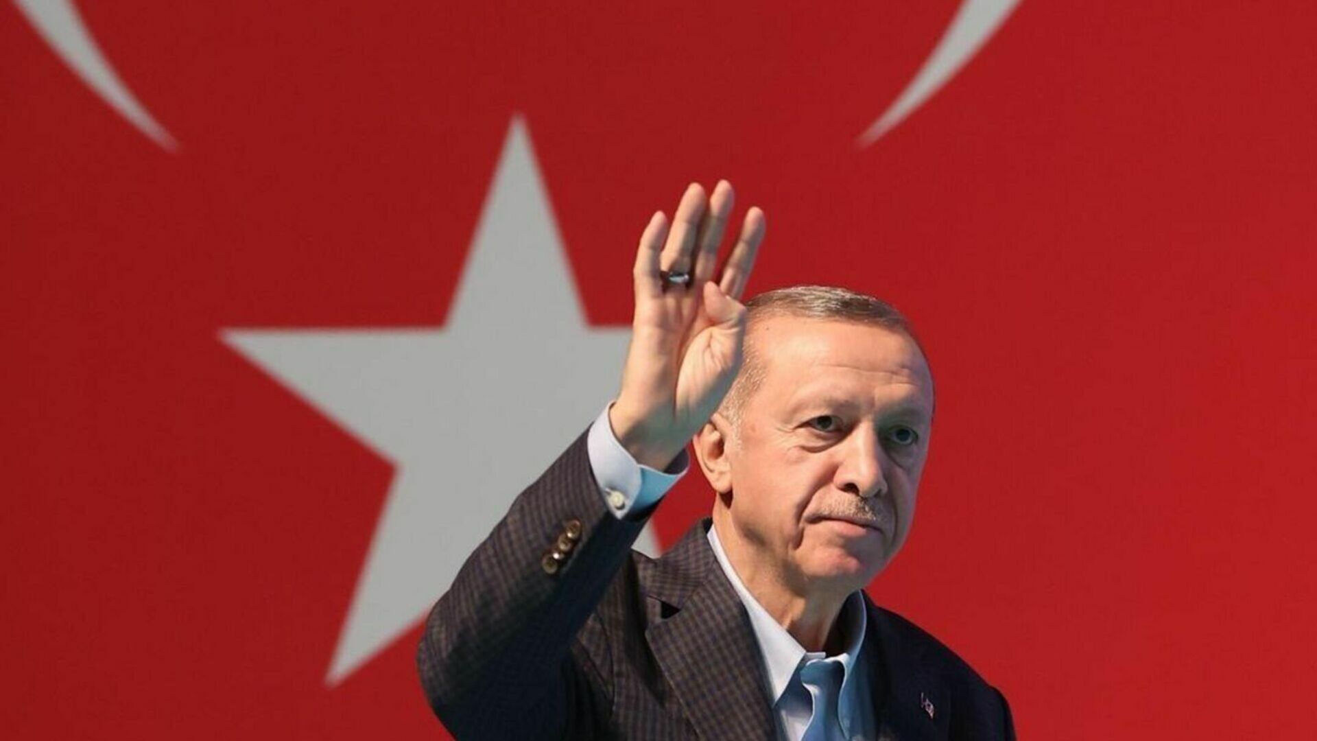 Президент Турции пообещал, что Анкара не одобрит заявку Швеции на вступление в НАТО