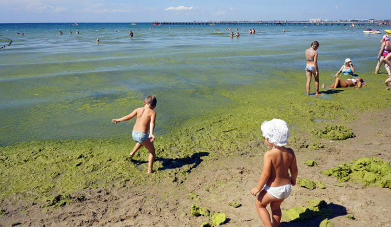 Анапа всегда считалась детским курортом. Тем более странно , что местные власти не проявляют никаких  мер к устранению зеленой жижи непонятного состава у берегов.