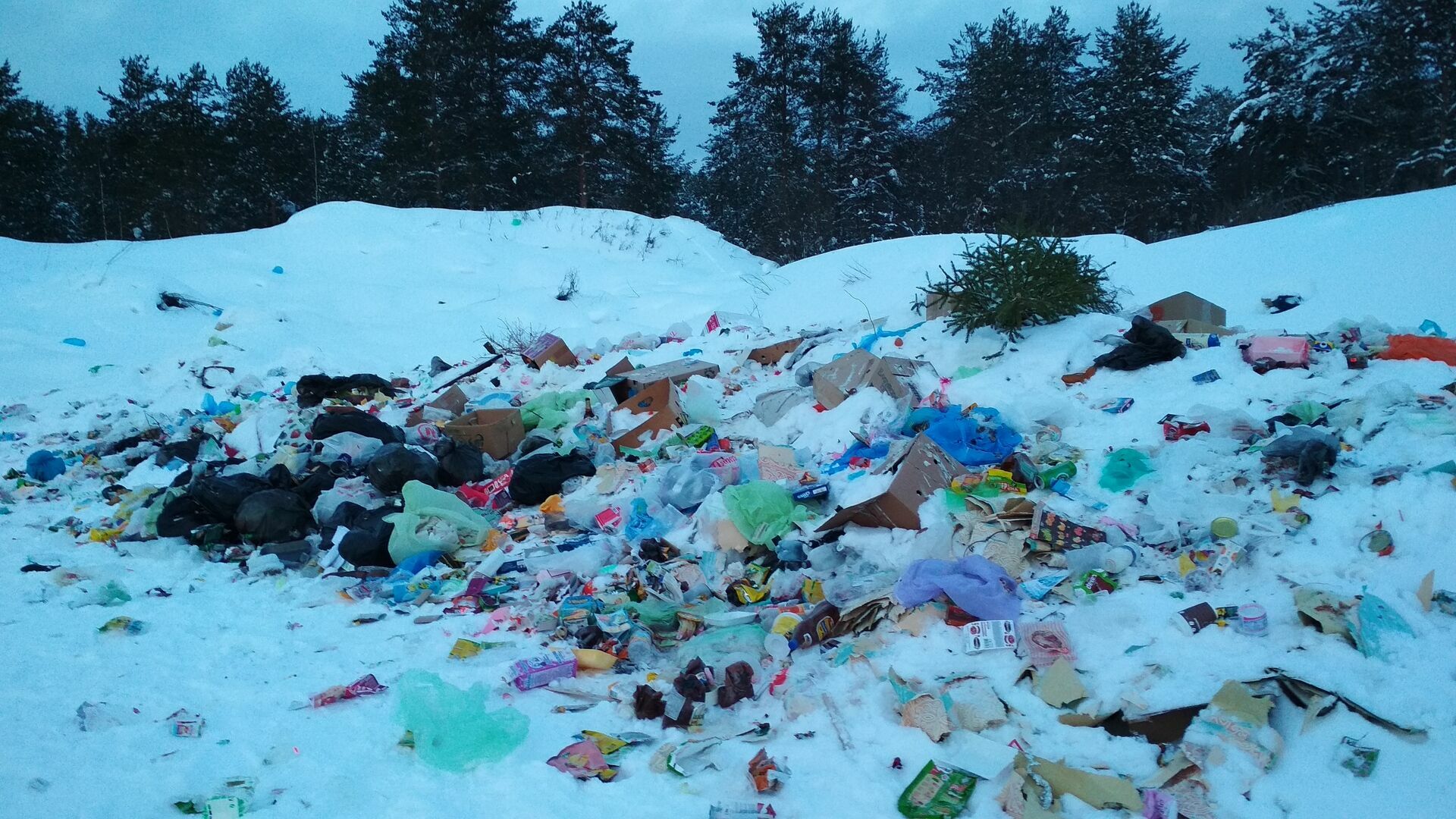 Свалка мусора возле села Яренска, съемка 28 января 2019 года