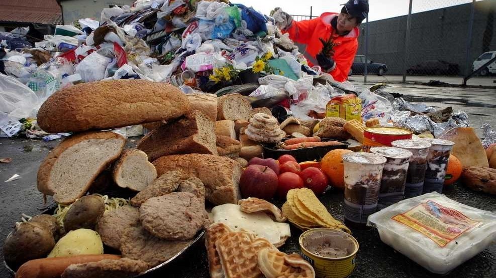 Современные супермаркеты накапливают сотни килограммов просроченной еды.