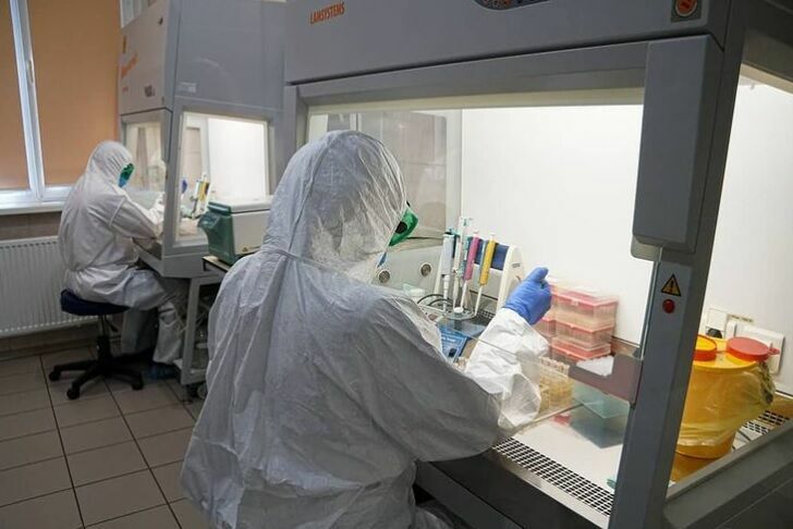 В Иркутской области изучают коллективный иммунитет к коронавирусу