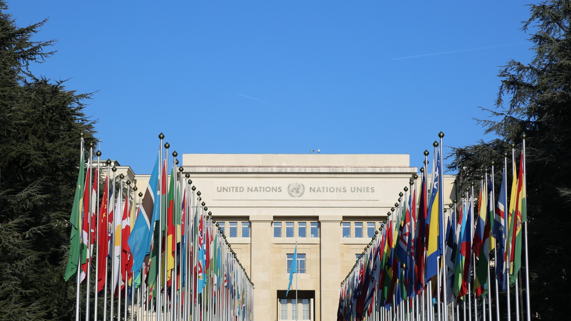 Совбез ООН отклонил предложение России, «выводящее» Мали из-под санкций
