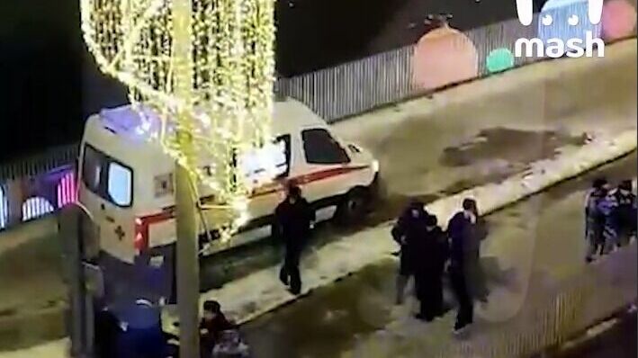 Сотрудника МАДИ убили под "парящим" мостом в московском парке "Зарядье"