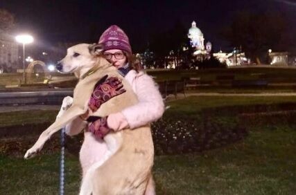 "Аэрофлот" потерял перевозимую собаку при трансфере во Внуково