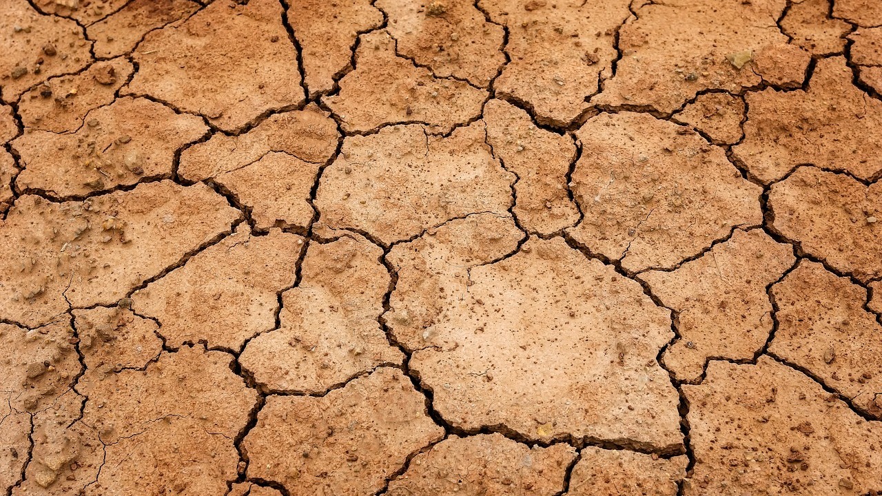 В Чувашии из-за засухи ввели режим ЧС