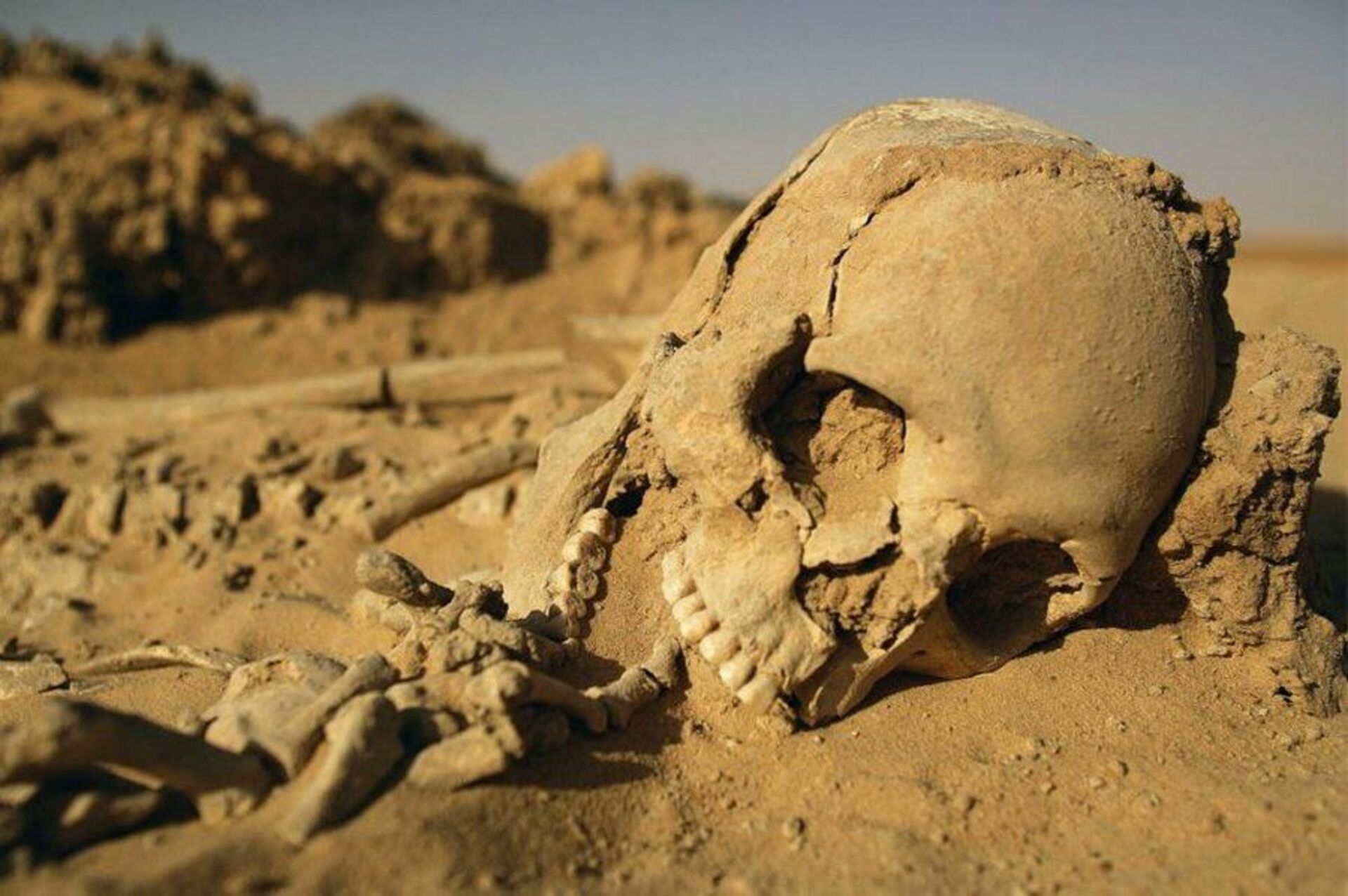 Скелеты сахары. Скелет великана в пустыне Гоби.
