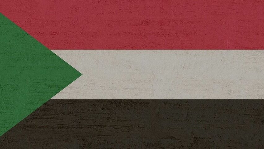 Армия Судана и Силы быстрого реагирования объявили о перемирии на сутки
